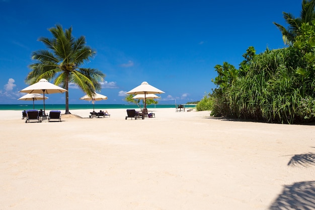 Plage et mer tropicale