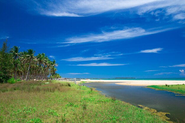 Plage et mer tropicale