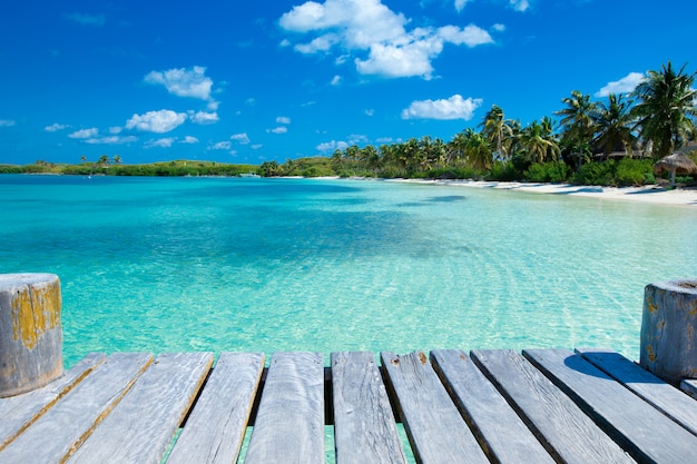 Plage et mer tropicale