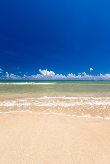 La plage et la mer tropicale