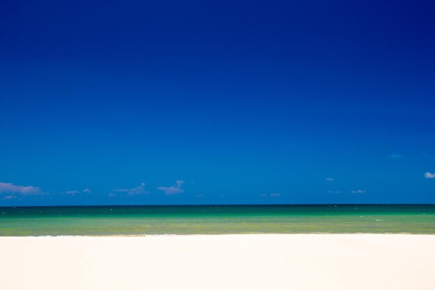 La plage et la mer tropicale