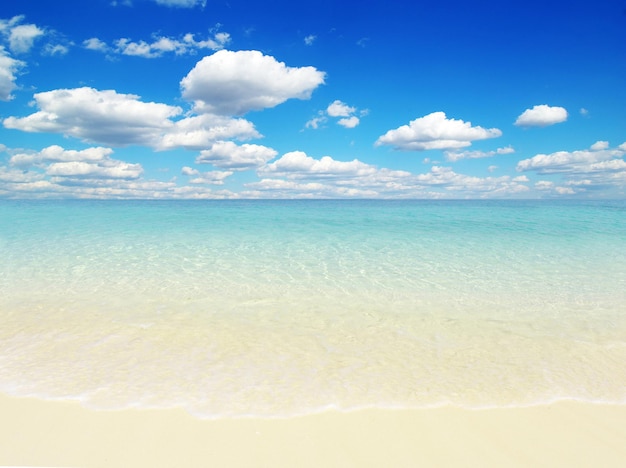 La plage et la mer tropicale