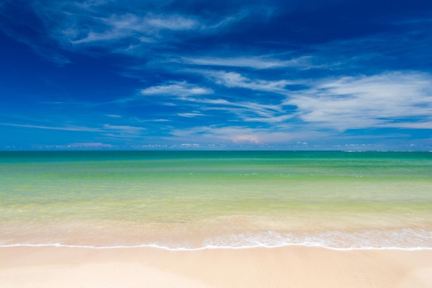 La plage et la mer tropicale