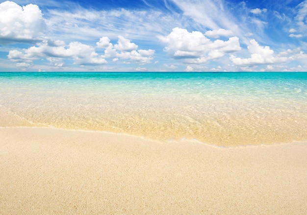 La plage et la mer tropicale