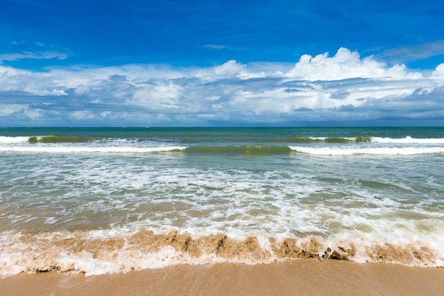 La plage et la mer tropicale