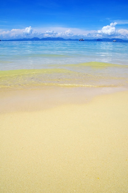 La plage et la mer tropicale