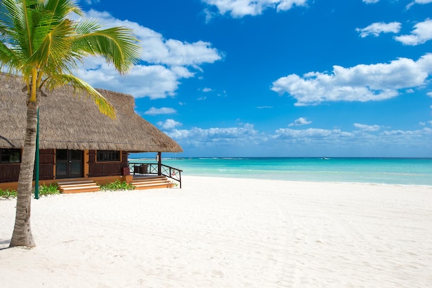 La plage et la mer tropicale