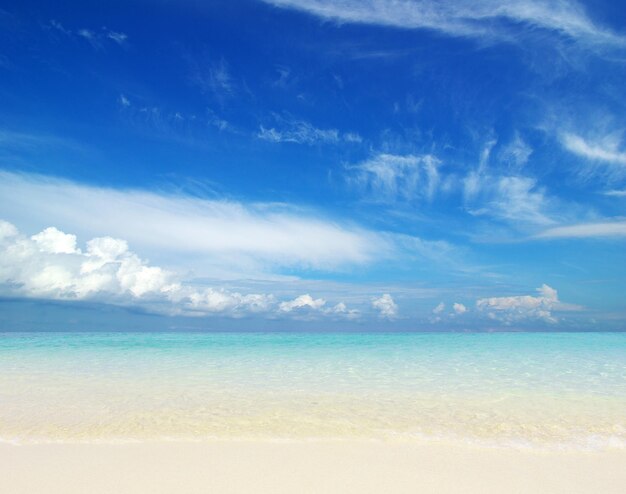 La plage et la mer tropicale