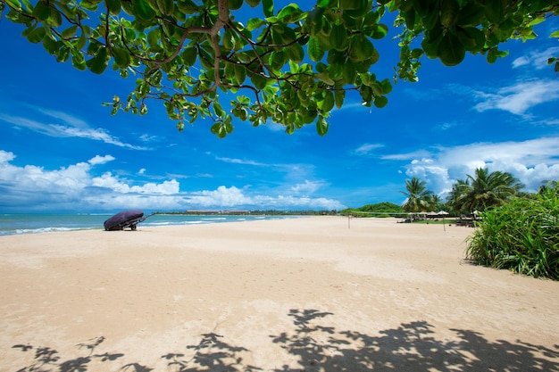 La plage et la mer tropicale