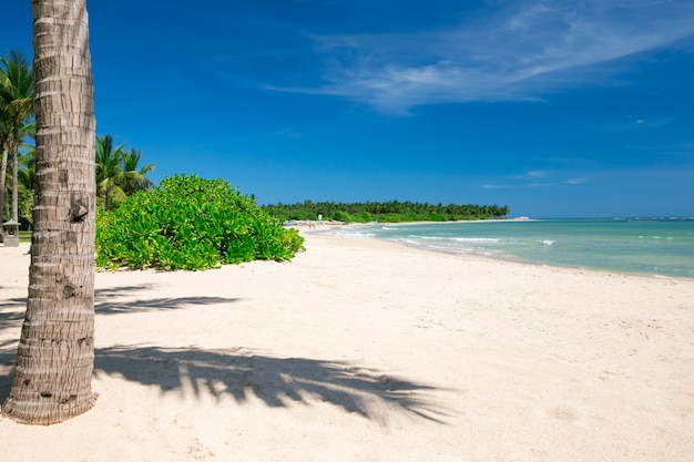 Plage et mer tropicale