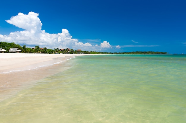 Plage et mer tropicale