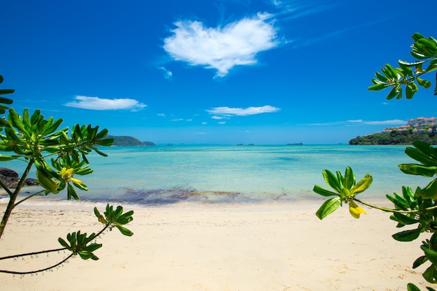 Plage et mer tropicale