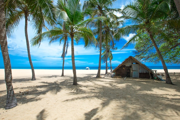 Plage et mer tropicale