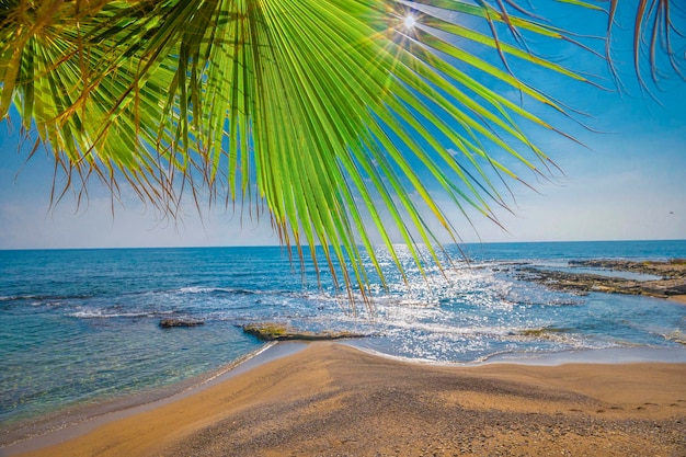 plage de la mer et vacances d'été