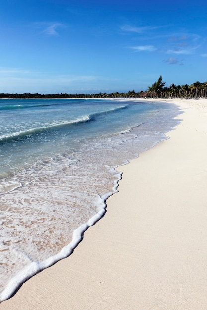 Plage mexicaine avec vagues