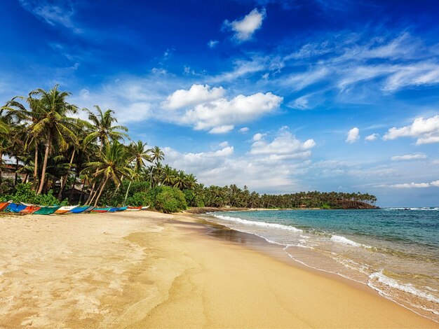 Plage de Mirissa, Sri Lanka