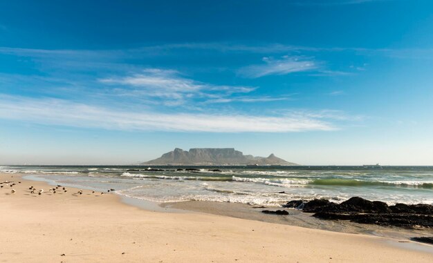 Photo une plage avec la montagne de la table en arrière-plan