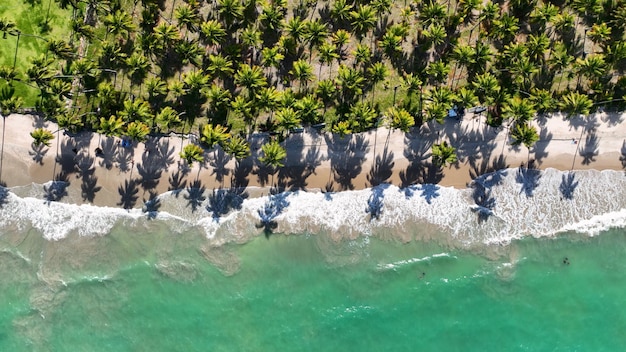 Plage des moutons à Tamandare au Pernambuco au Brésil