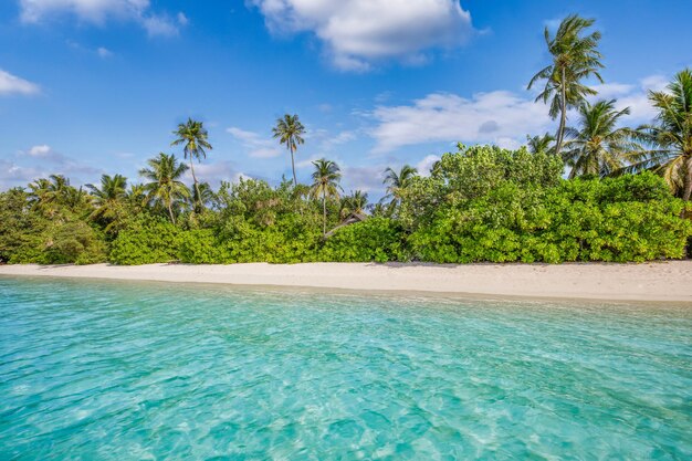 Photo une plage naturelle incroyable avec des palmiers et un ciel ensoleillé des vacances d'été voyage tourisme arrière-plan