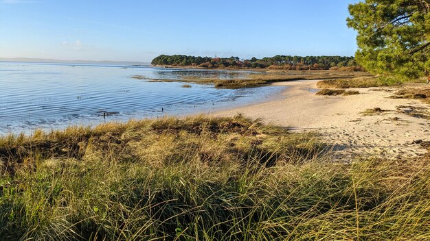 Photo plage naturelle de sable sauvage au cap ferret sur la baie d'arcachon en france