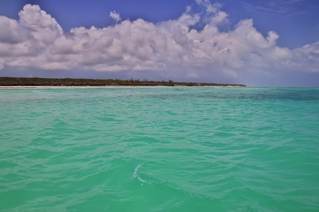 Photo la plage de nungwi dans l'île de zanzibar en tanzanie