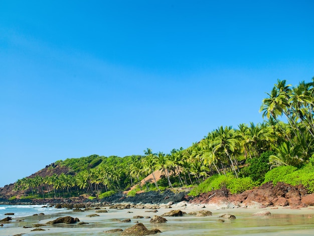 Plage de l'océan avec île et palmiers