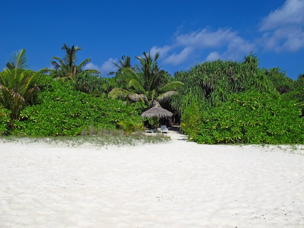 La plage sur l'océan Indien Maldives North Ari atoll