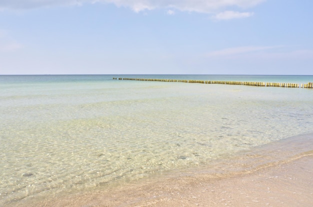 Plage de l'ouest sur la plage de la mer baltique nature morte détaillée et texturée bel endroit