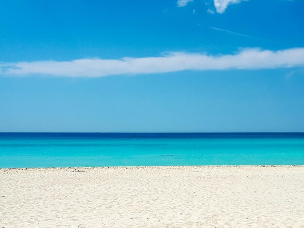 Photo plage avec des palmiers habana île de cuba 2018