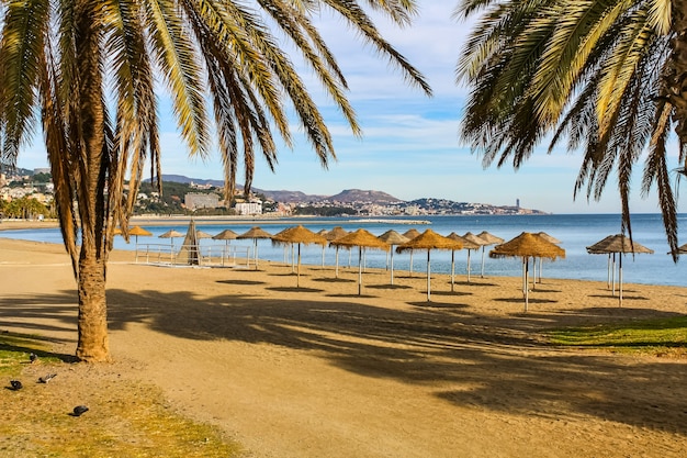 Plage avec palmiers et parasols sur le sable un jour d'été, sans personne. Malaga