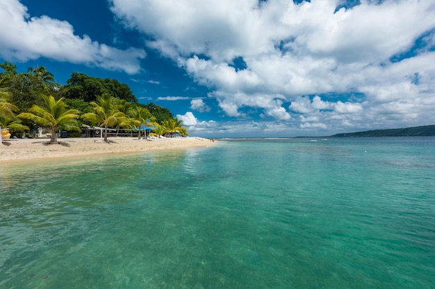 Plage avec palmiers tropical île d'Efate Vanuatu