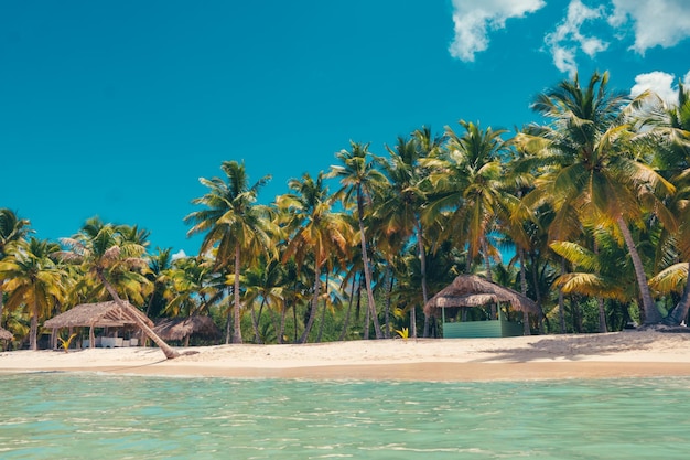 Une plage paradisiaque dans les Caraïbes