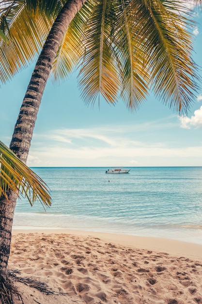 Photo une plage paradisiaque dans les caraïbes