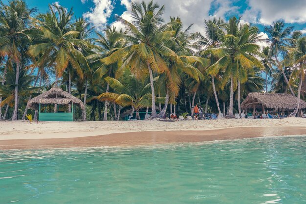 Photo une plage paradisiaque dans les caraïbes