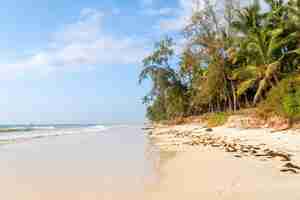 Photo plage paradisiaque avec du sable blanc et des palmiers kenya de hauts palmiers de coco poussent sur une plage de sable près de l'océan indien beaux paysages marins