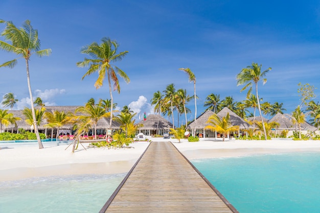 Plage paradisiaque des Maldives. Île tropicale de voie tranquille. Beaux palmiers et plage tropicale.