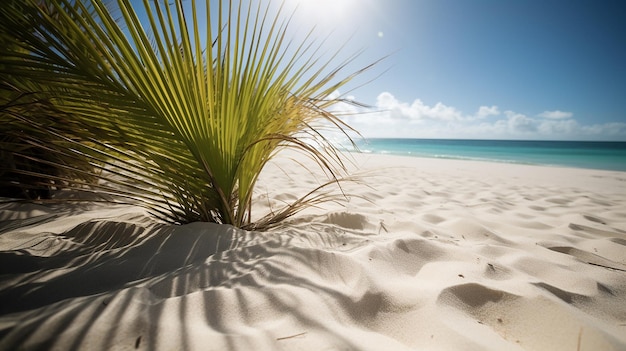 Plage paradisiaque avec palmiers de sable blanc et eaux turquoises avec IA générative