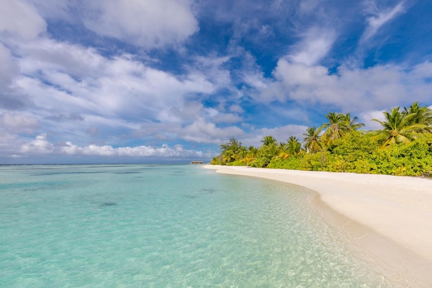 Plage paradisiaque tropicale avec ciel de mer de sable blanc coco palmiers voyage tourisme fond large panorama