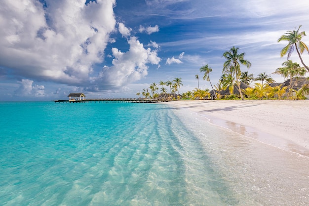 Plage paradisiaque tropicale. Palmiers, paysage relaxant idyllique de lagon océanique. Nature des vacances d'été