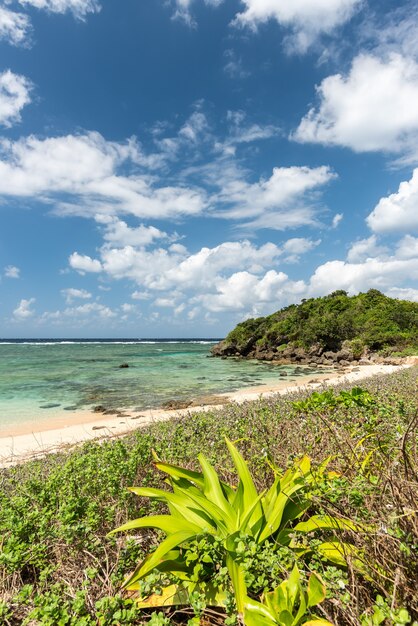 Photo plage paradisiaque tropicale avec sa mer vert émeraude, nuages blancs au ciel bleu, végétation côtière par une journée ensoleillée.