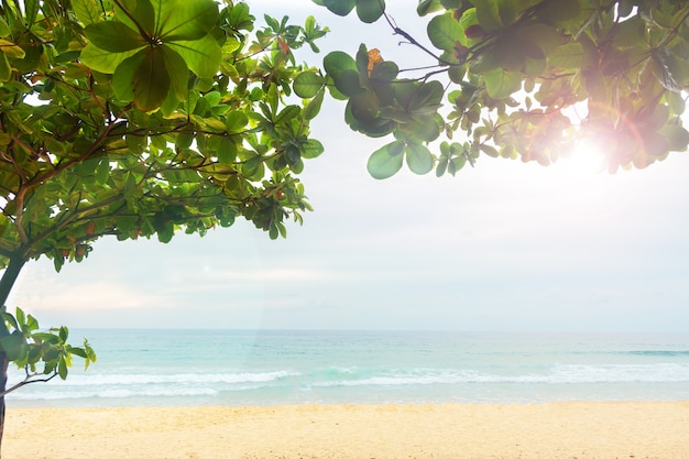 Photo plage paradisiaque