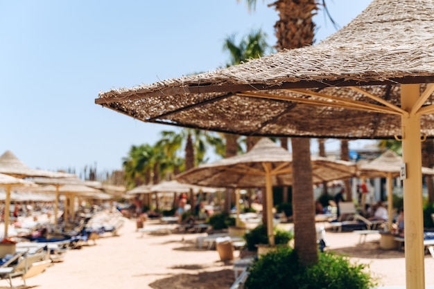 Plage avec parasols en paille et transats