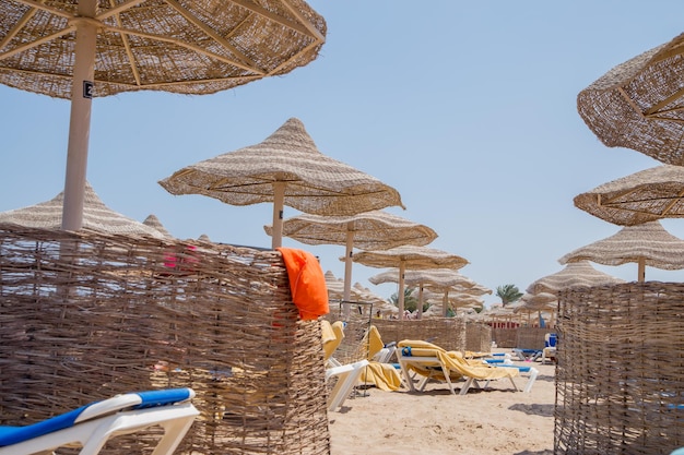 Plage avec parasols et transats en bord de mer