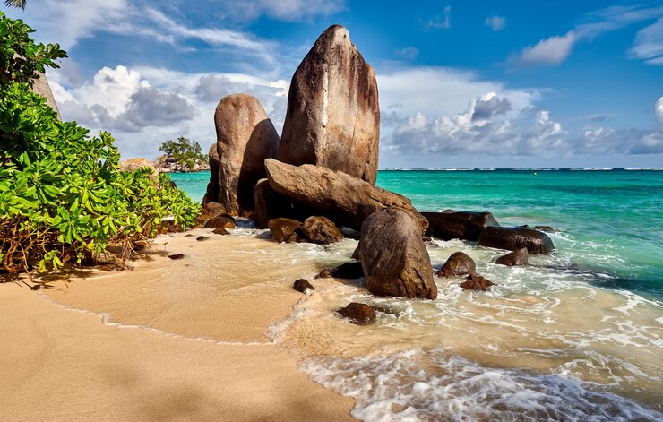 Photo plage avec paysage de palmiers et rochers