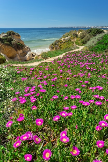 Photo plage de paysage de printemps vertical gale. albufeira portugal.