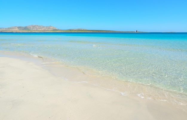 Plage de La Pelosa par temps clair Sardaigne