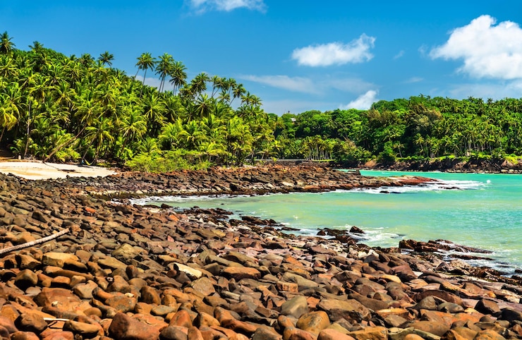 Photo plage de pierre tropicale sur l'île saint-joseph, partie des îles du salut en guyane française au sud