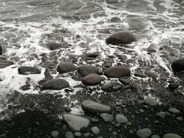Photo plage de pierre typique de madère