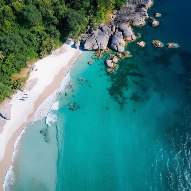 une plage avec une plage de sable et quelques personnes sur elle