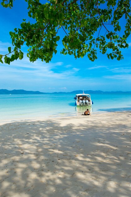 Plage et plage tropicale tropicale mer